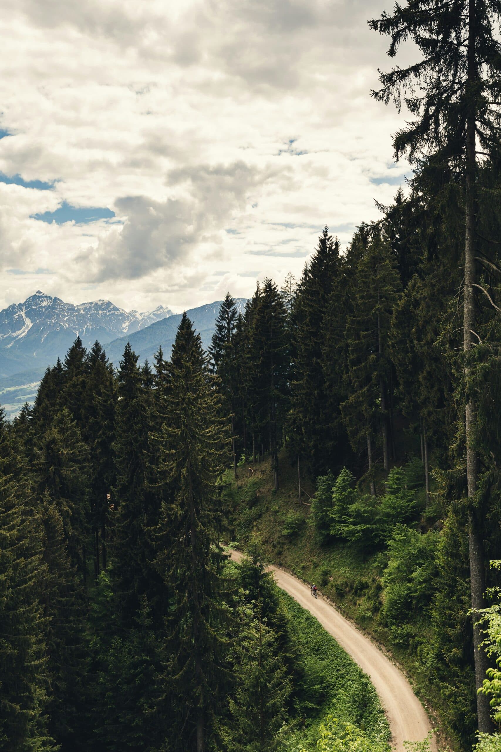 Trail path